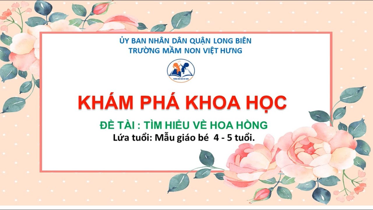 Kh&aacute;m ph&aacute;: T&igrave;m hiểu về  hoa hồng - Mẫu gi&aacute;o nhỡ