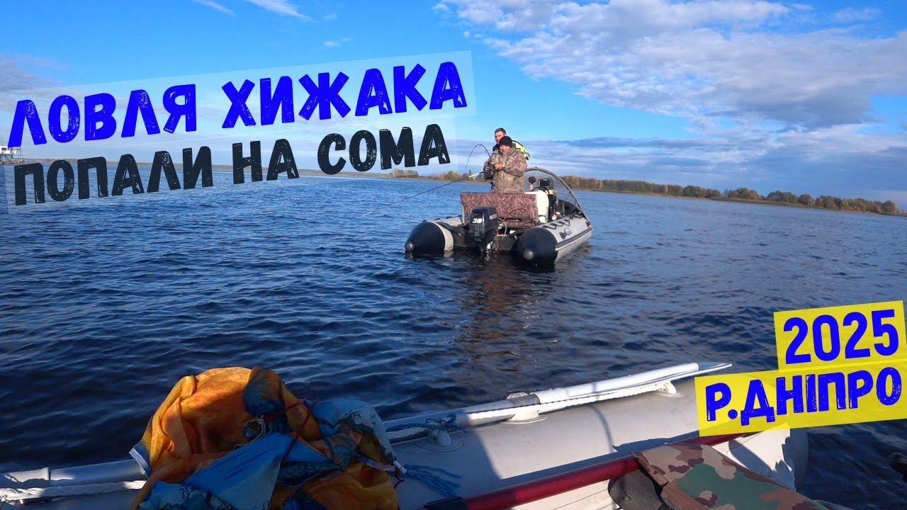ловля хижака, попали на клювання сома