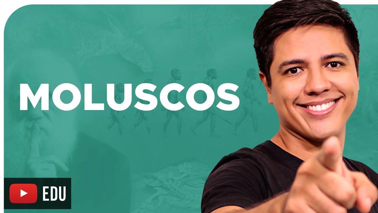 MOLUSCOS  - ZOOLOGIA - Reino Animalia - Prof. Kennedy Ramos