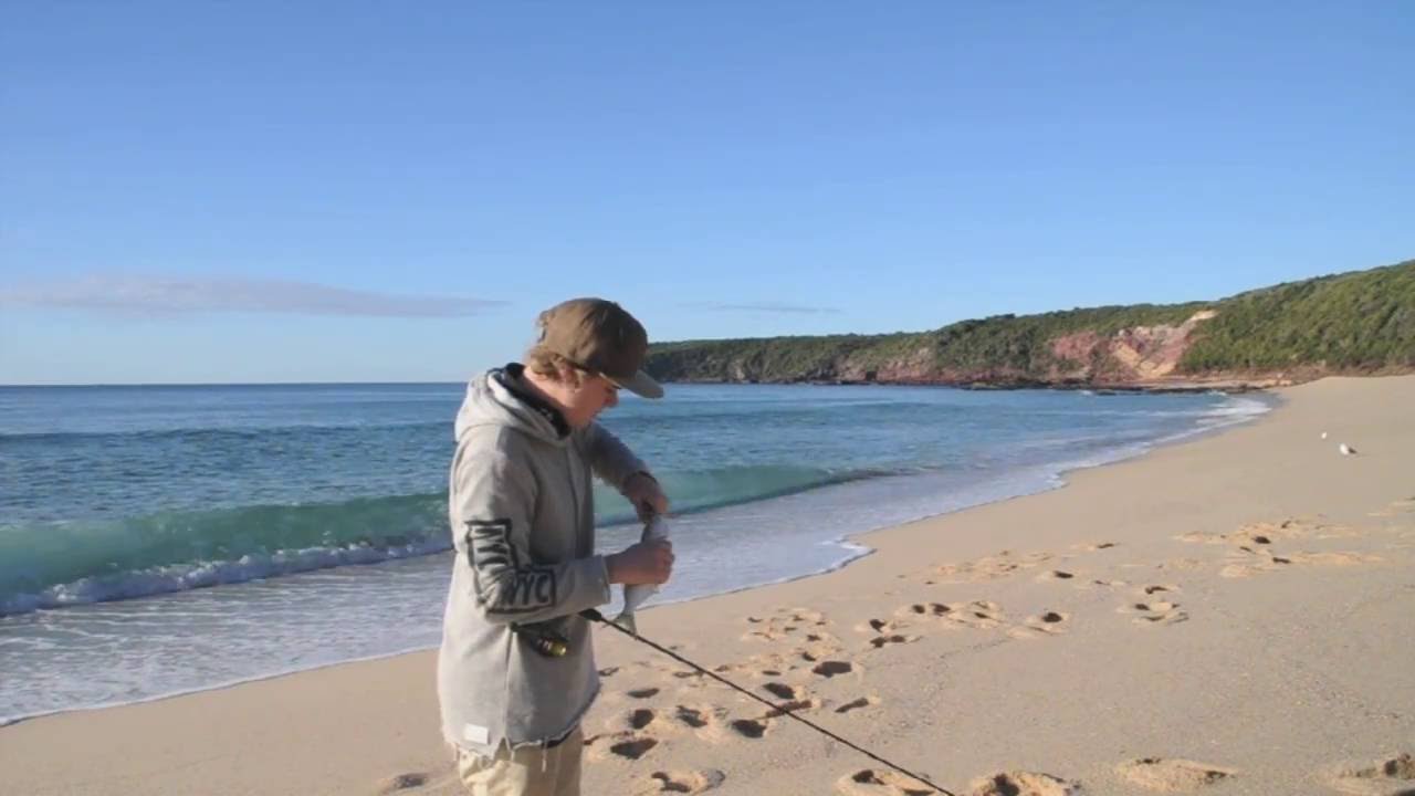 Beach fishing Merimbula, Dolphins,Tailor, and boats