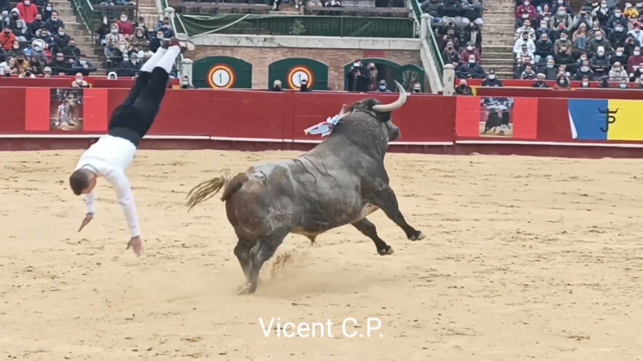 Concurso de Recortes Campeon de Europa Valencia 2021