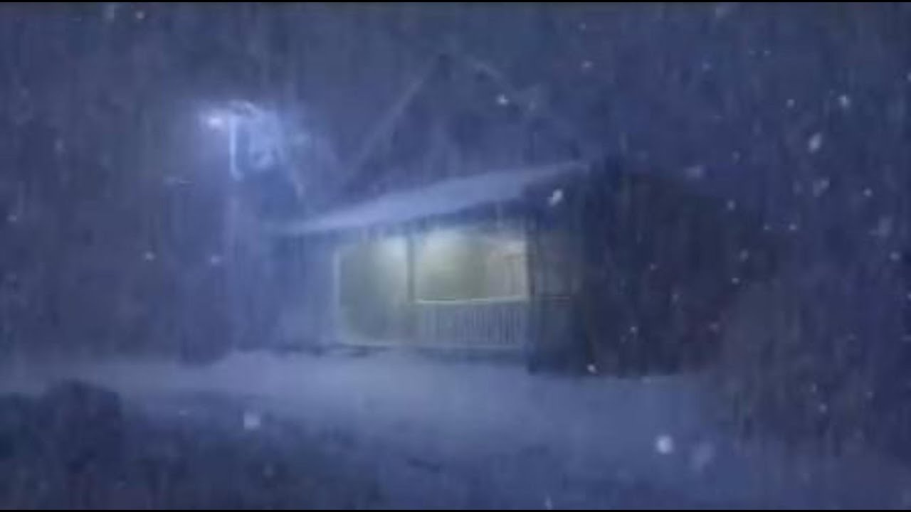 Sleep All Night ❄️ Steady Snowstorm White Noise (11 Hours)