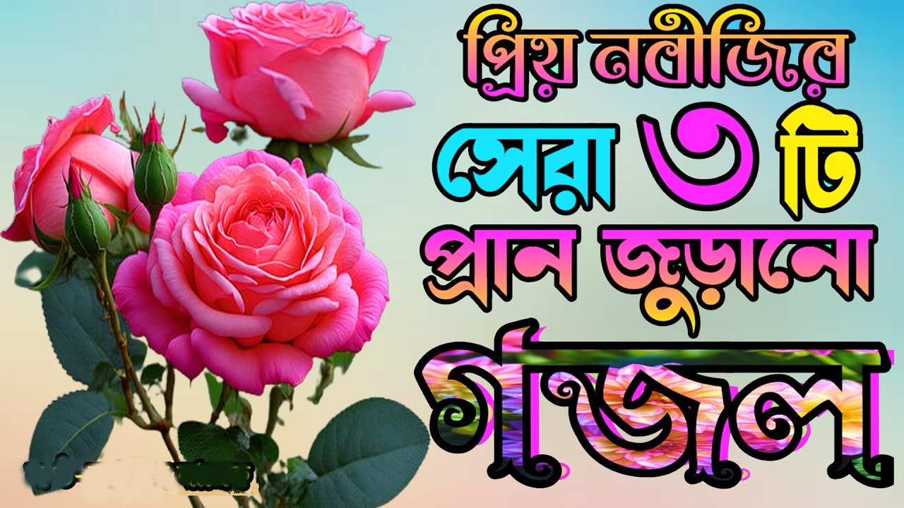 প্রিয় নবীজির প্রেমে তিনটি গজল, কলিজা শীতল করা গজল, New Three Selected Gojol, Islamic Naat-e-Rasoo