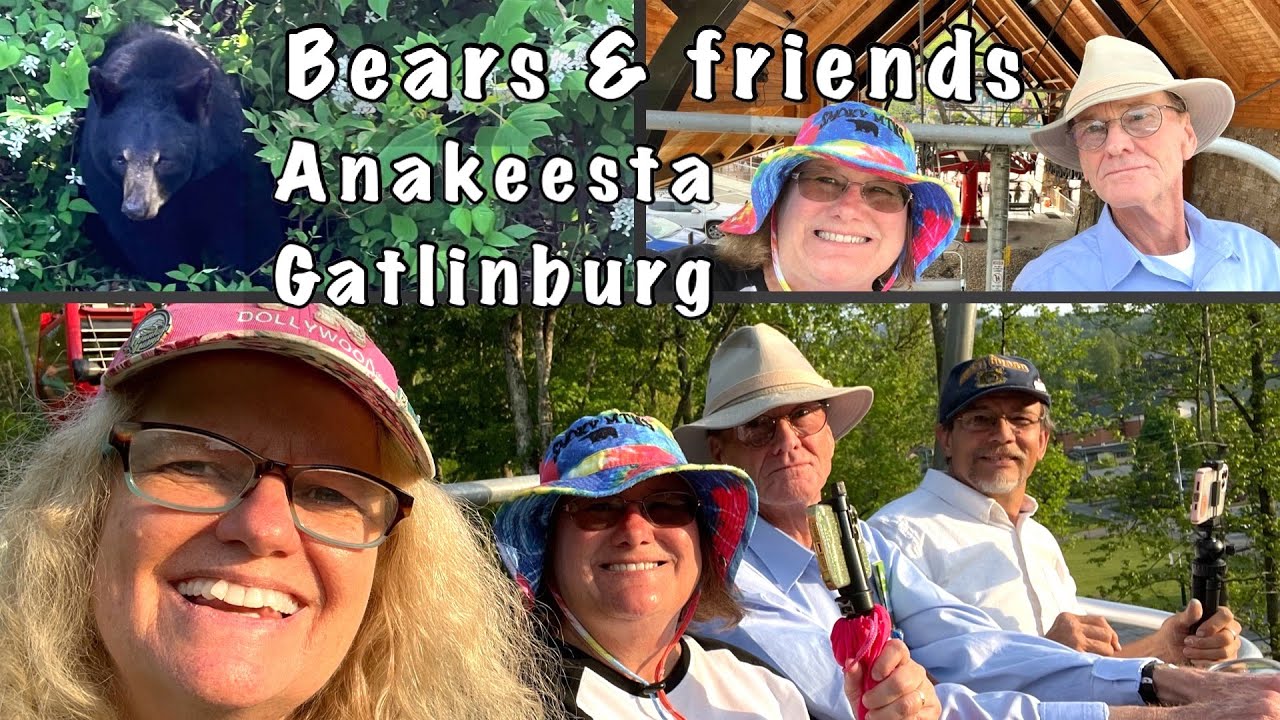 Gatlinburg BEARS / Anakeesta with friends Scott & Tara / Smoky Mountains Tennessee