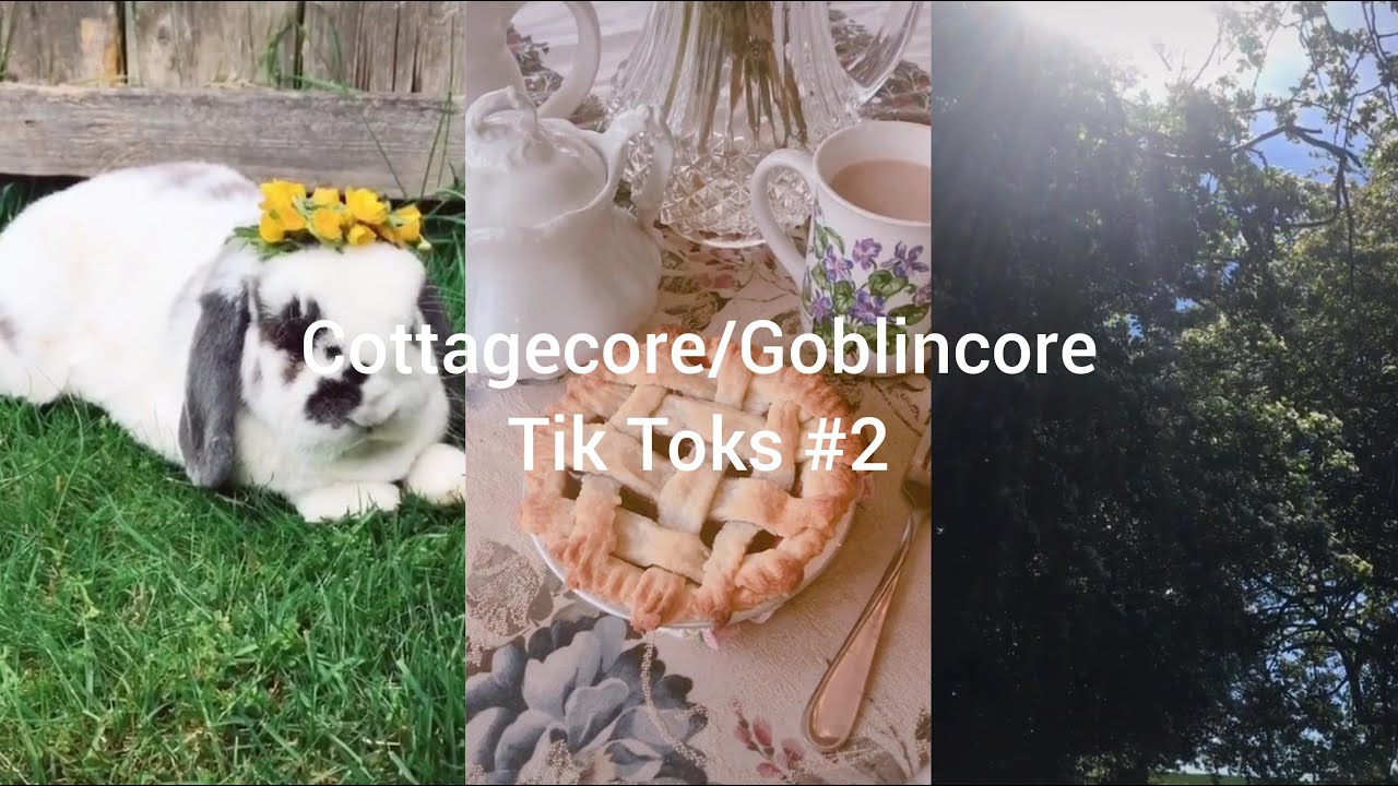 Cottagecore/Goblincore Tik Toks #2