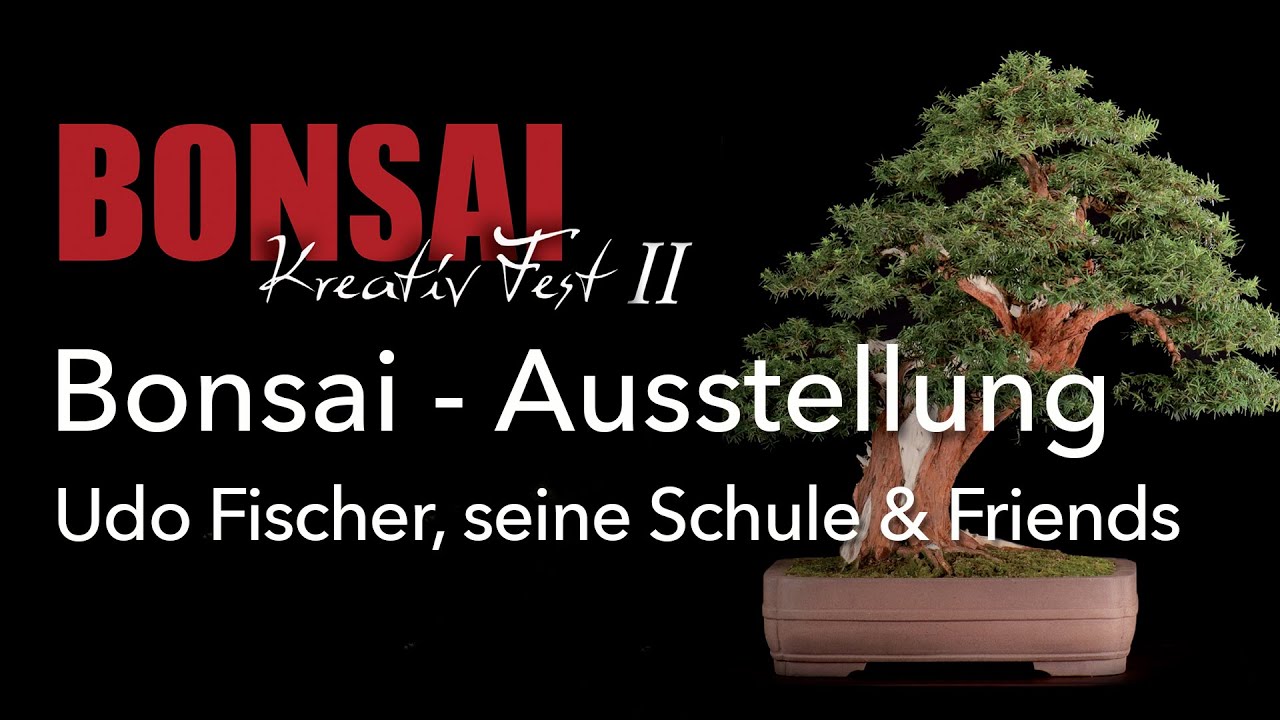Bonsai Kreativ Fest II 2022, Bonsai - Ausstellung mit Schülern und Absolventen von Udo Fischer