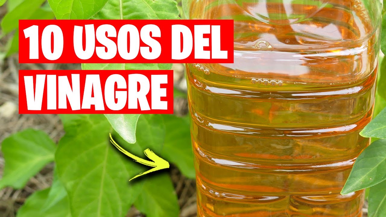 10 Usos INCREÍBLES del VINAGRE en el Huerto y Jardín | La Huerta de Ivan