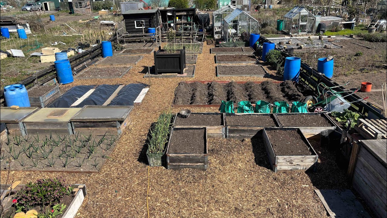 No 180 - My Daily Routine At The Allotment To Promote Success!
