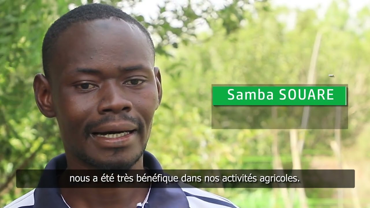 Politique d'insertion des jeunes dans les filières agricoles par la CNOP MALI