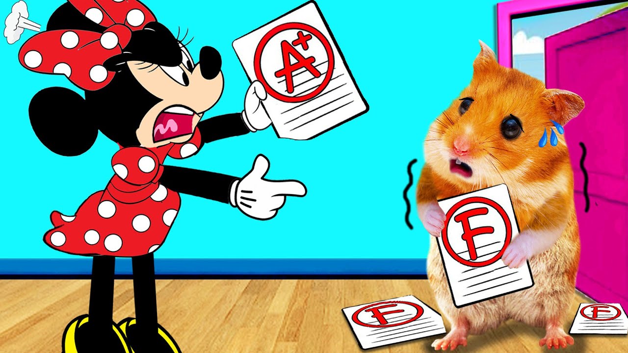 So Sorry Minnie! Hamster Hamham Will Be A Good Student | Life Of Pets HamHam