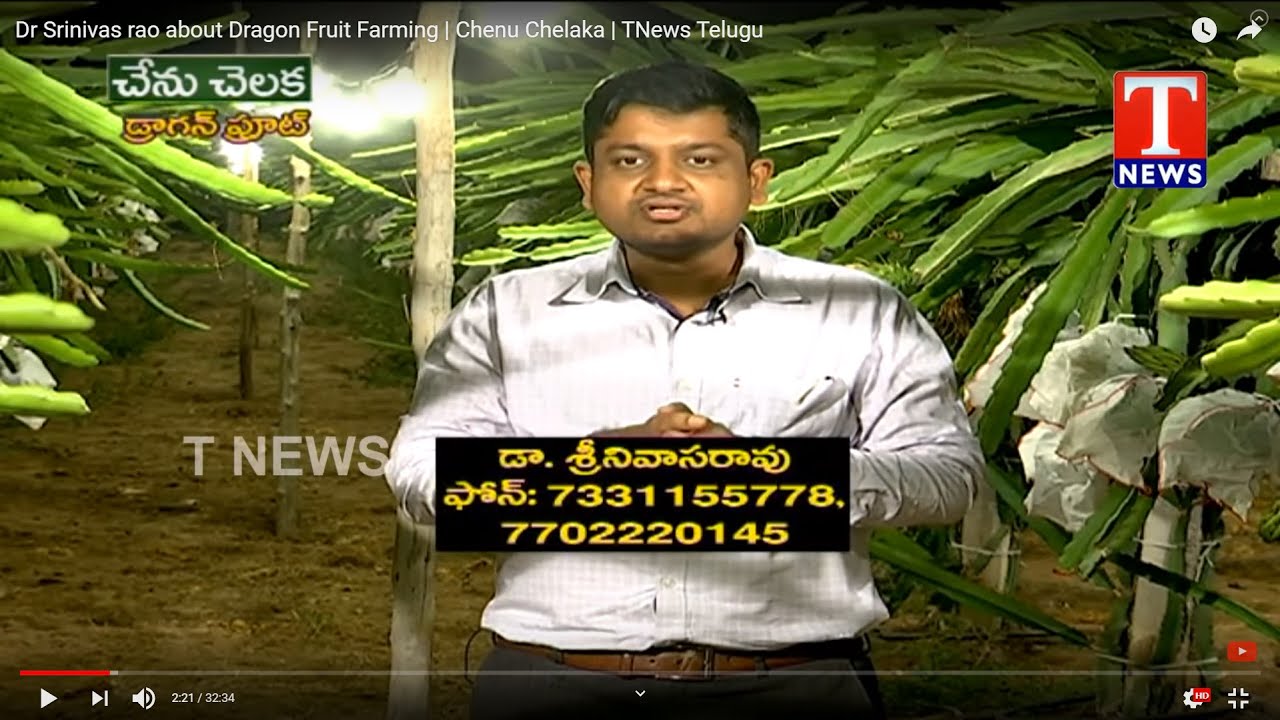 Dr.Srinivas Rao on Dragon Fruit Farming Modern Technology  Hybrid variety C Cultivation @ 7331155778