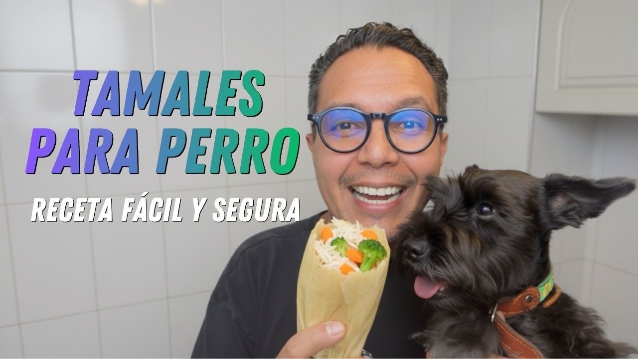 ¿Le das tamales a tu perro? Mira la alternativa segura