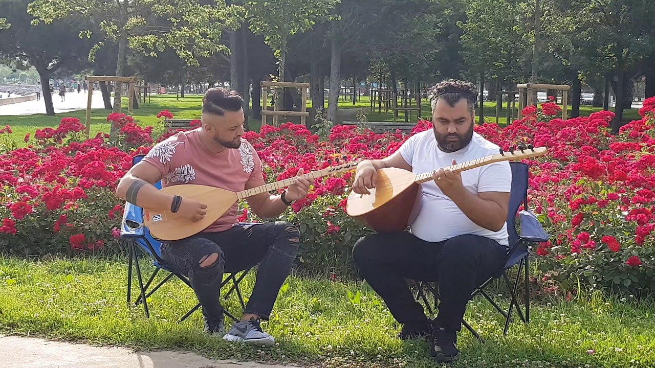 Yasin Dogan  Sari Turnam