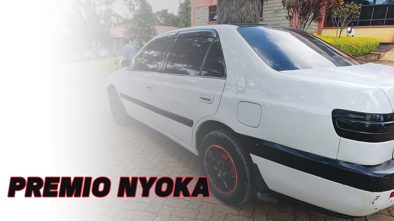 THE CELEBRATED PREMIO NYOKA - ALL YOU NEED TO KNOW