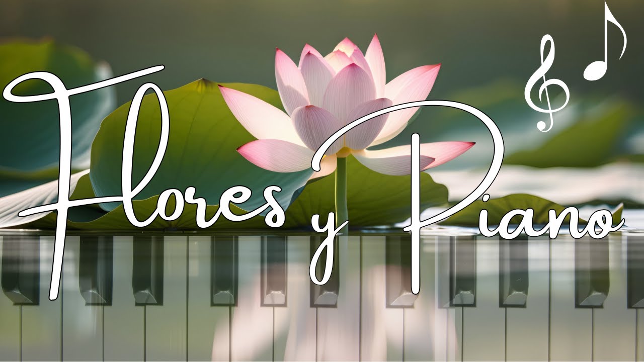 🎶Música relajante 🌼🌷#músicadefondo #relaxingmusic #musicarelajante