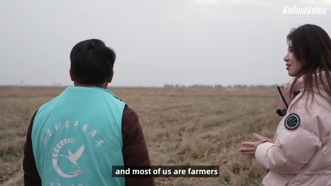 Saving paradise for migratory birds in east China