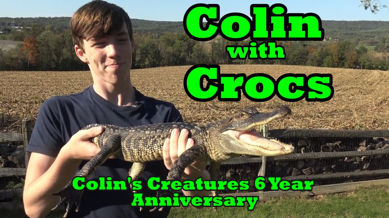 Colin with Crocs  Colin's Creatures 6 Year Anniversary