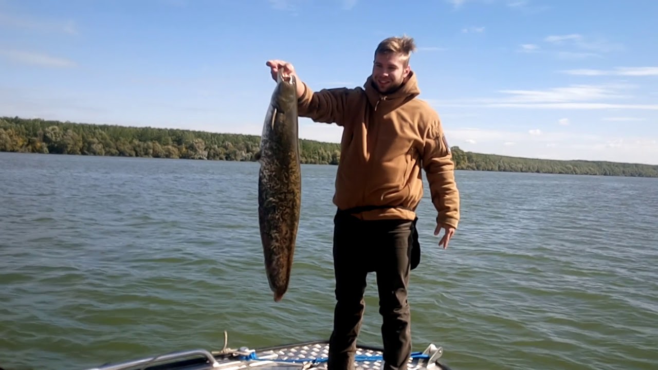 Ritopek 2017 - Vertical jigging on te Danube 7.