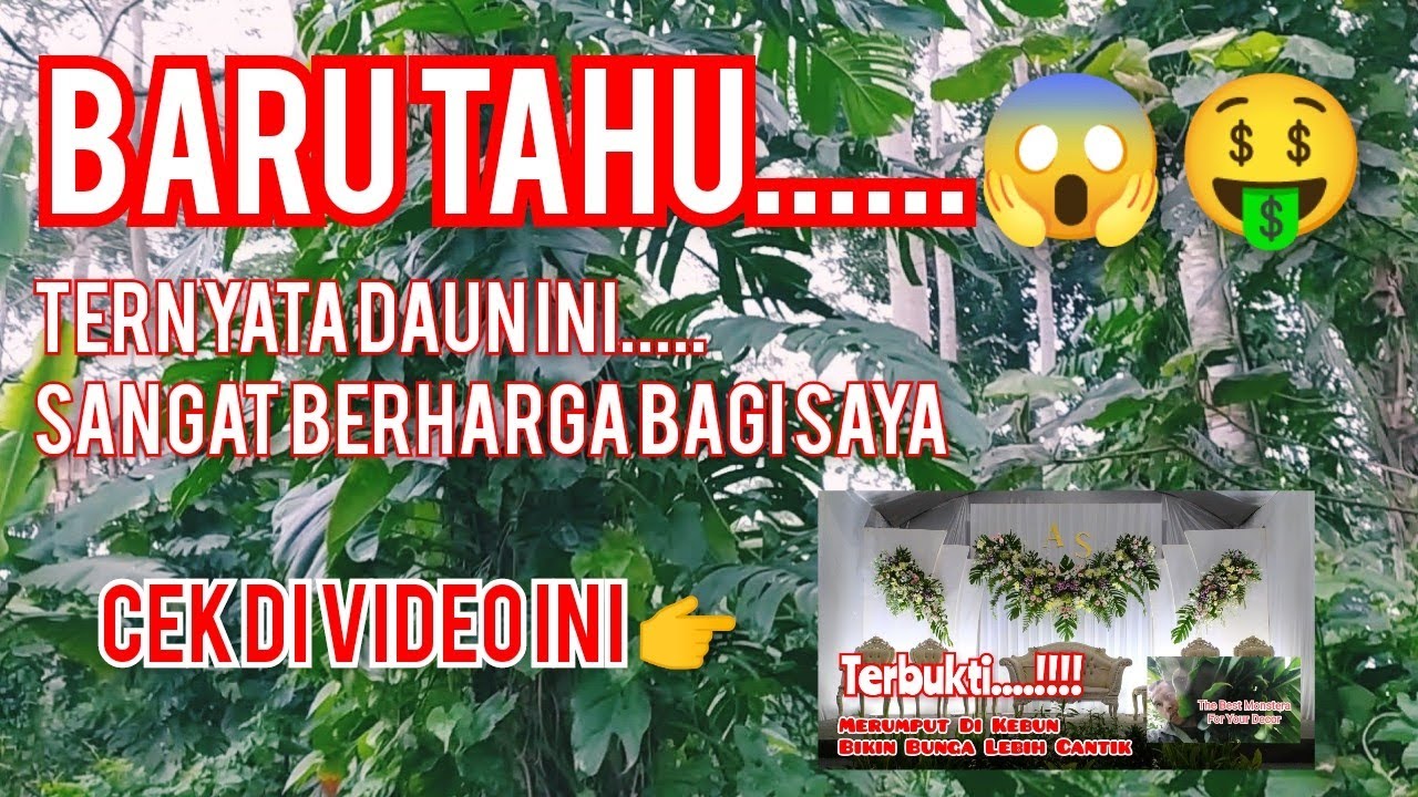 Tutorial Dekorasi | mencari daun di alam liar part 2