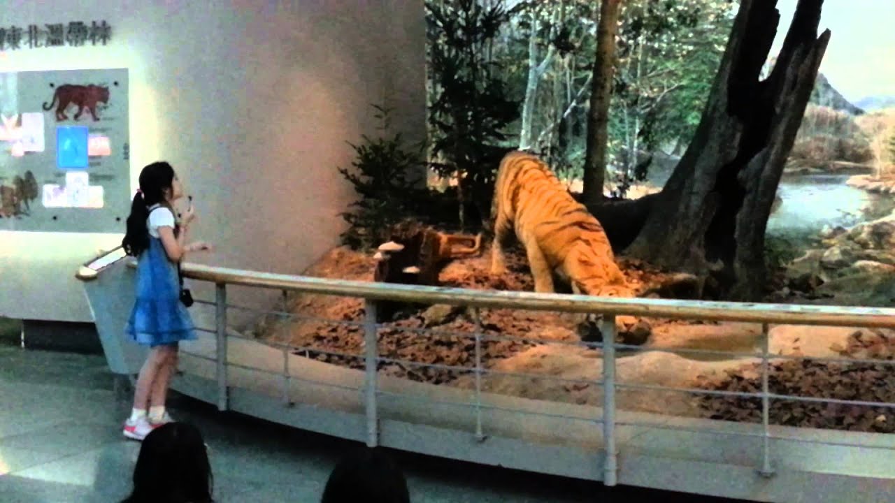20140725科博館小小解說員初體驗