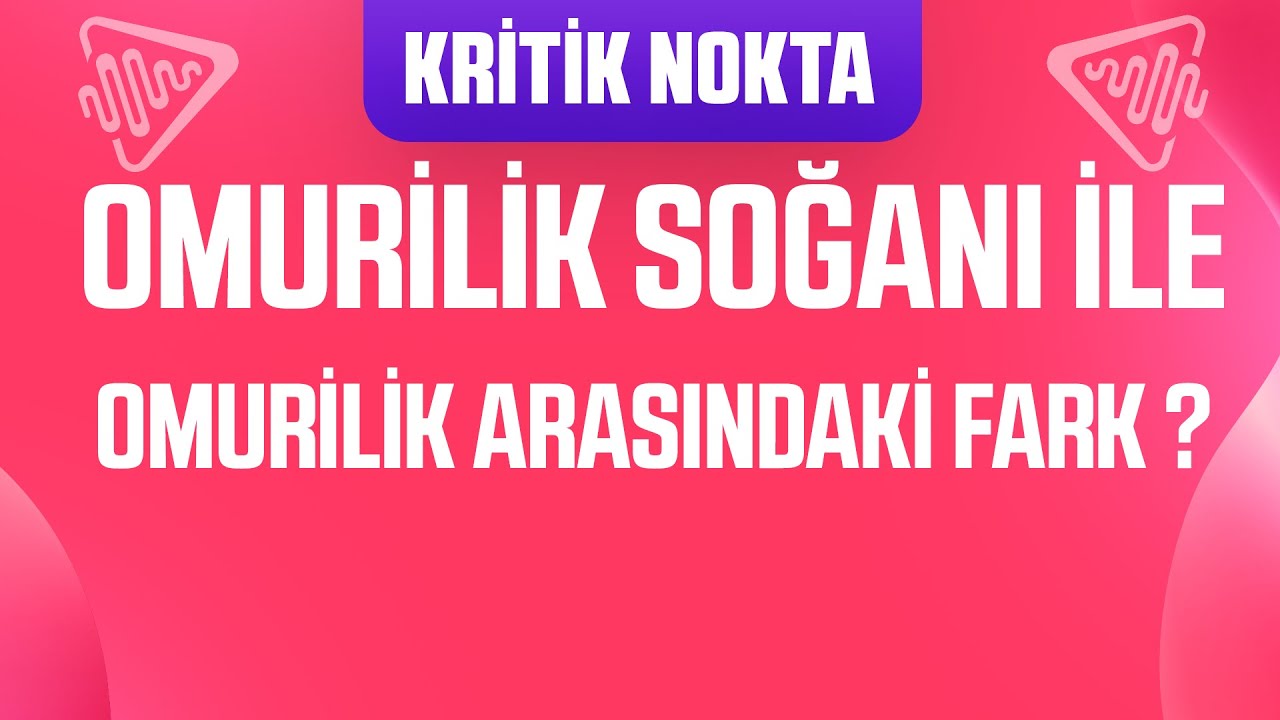 OMURİLİK SOĞANI İLE OMURİLİK ARASINDAKİ FARK NEDİR ?