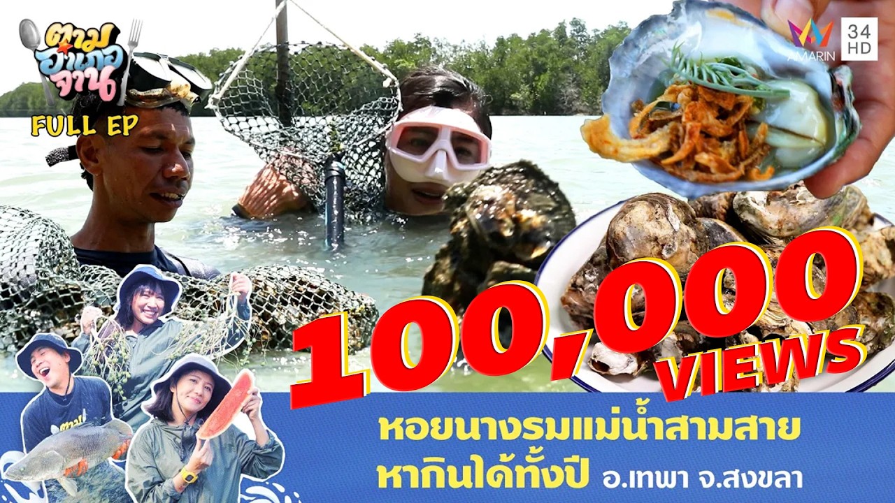 ชิมสด! งมหอยนางรมกลางคลอง อ.เทพา จ.สงขลา | ตามอำเภอจาน | 14 ต.ค. 68 Full EP