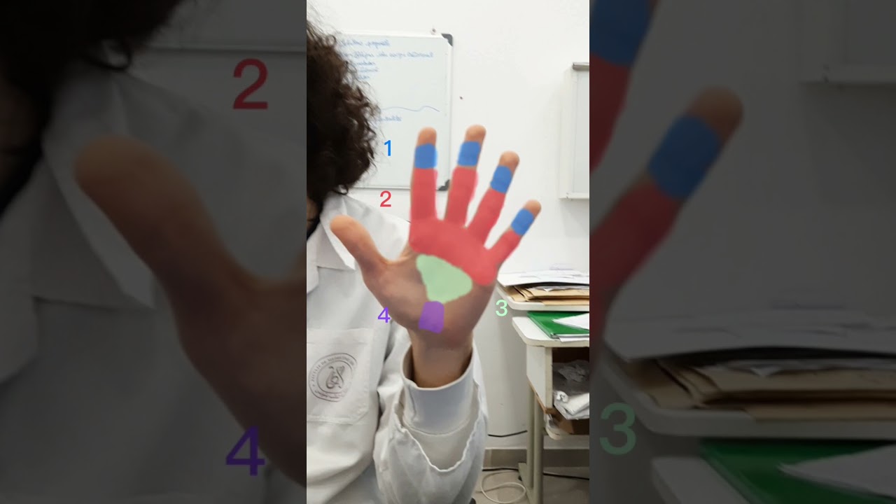 les plaies de la main