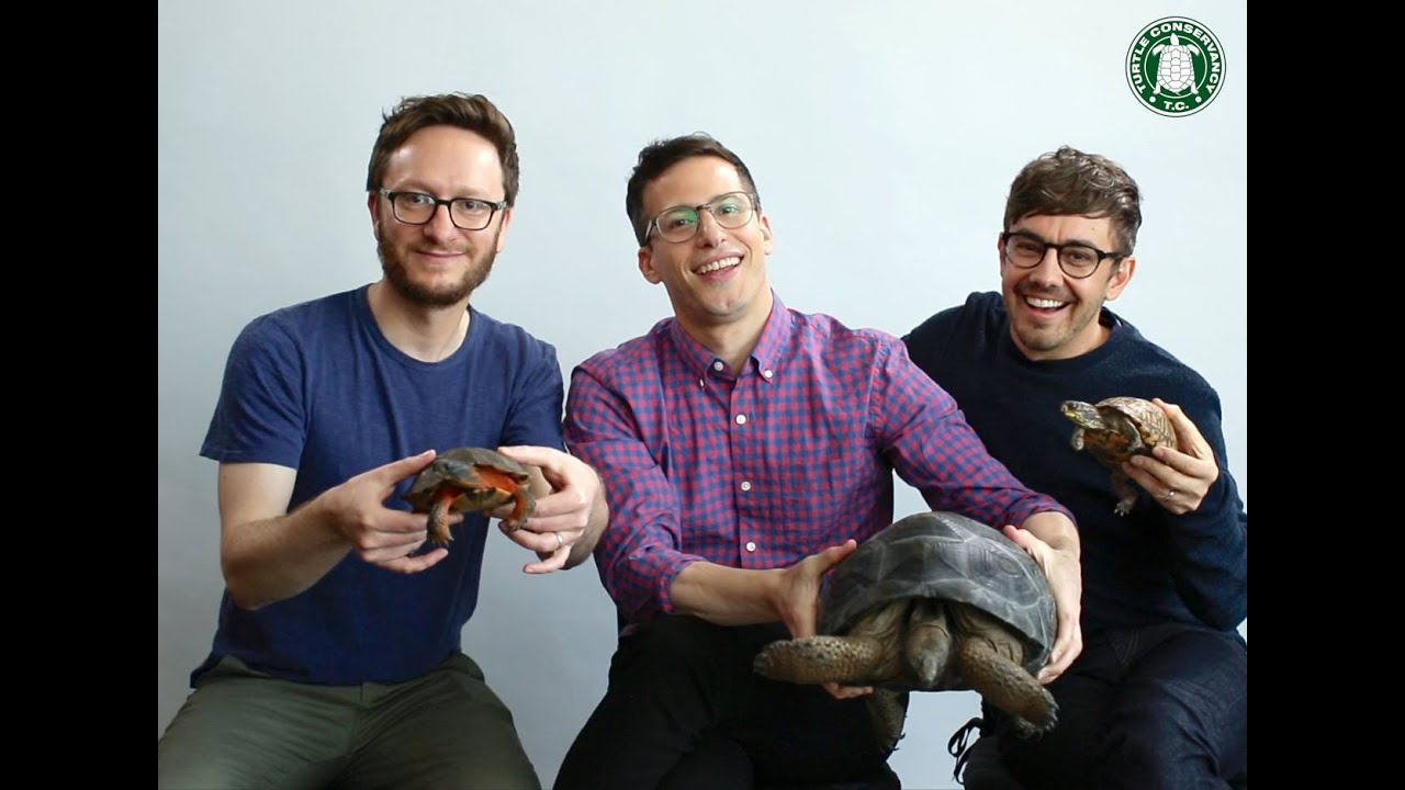 The Lonely Island explains why turtle sex is important (Popstar Movie)