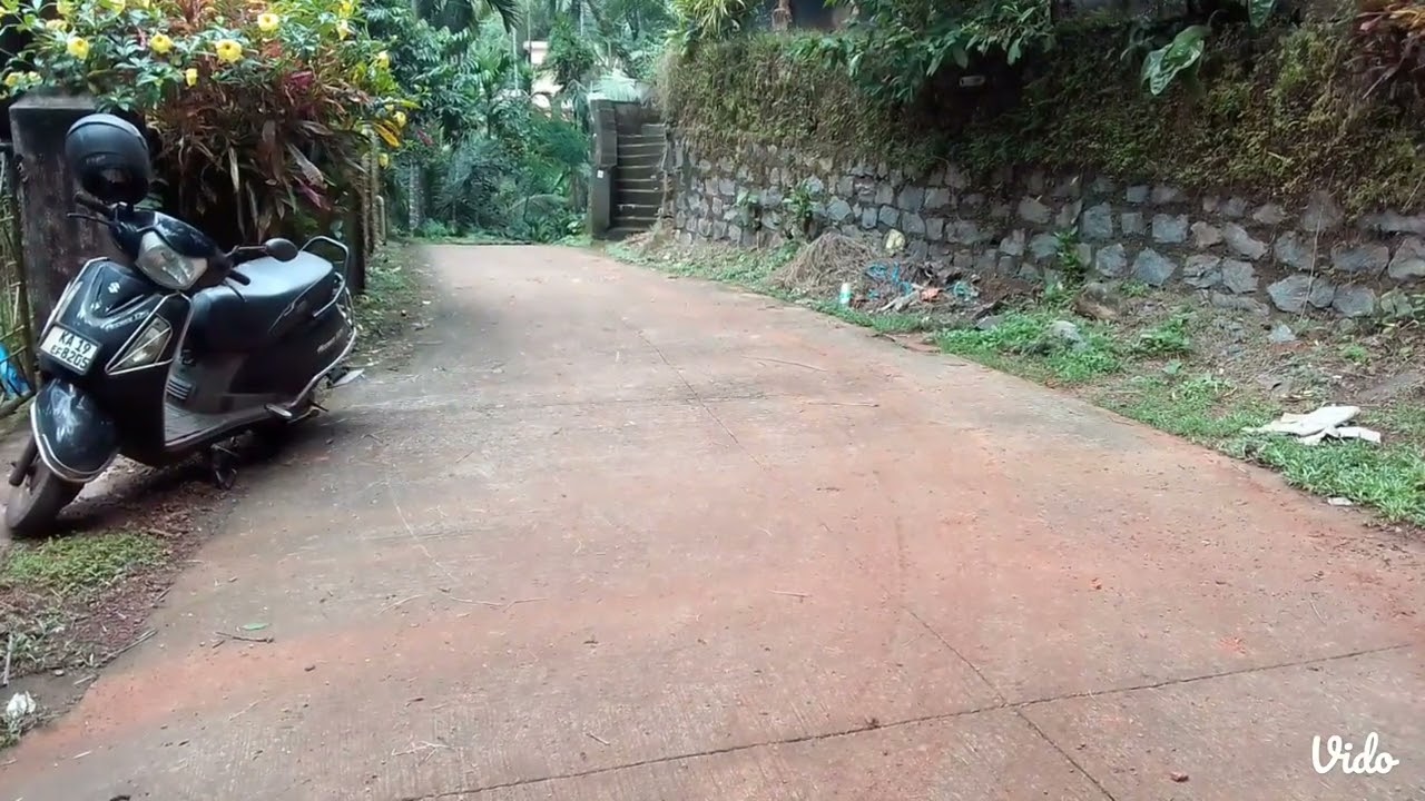 36 cent agricultural land at 500 mt from Kavoor main road with Arecnut plantation.