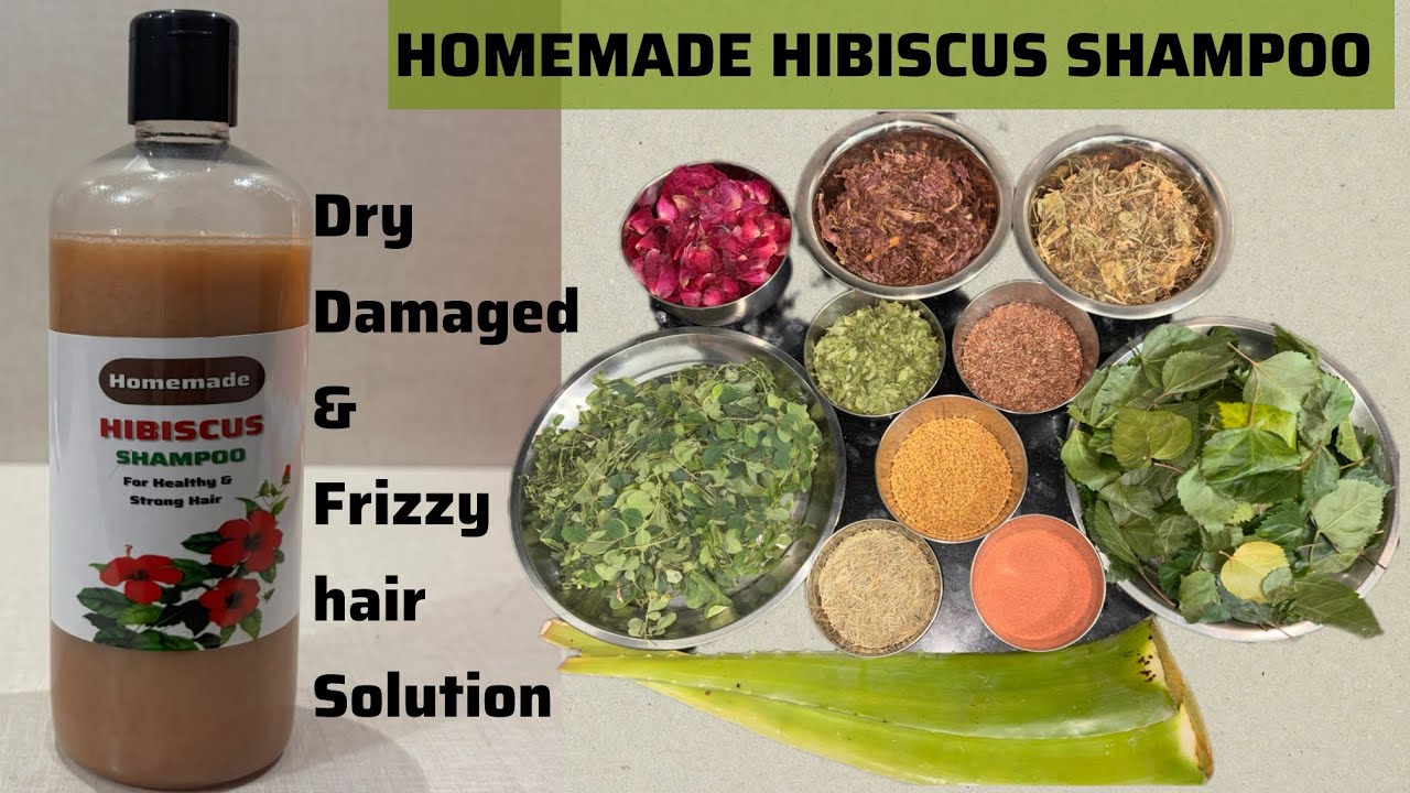 HOMEMADE HIBISCUS SHAMPOO*DRY DAMAGED & FRIZZY HAIR SOLUTION #2025 