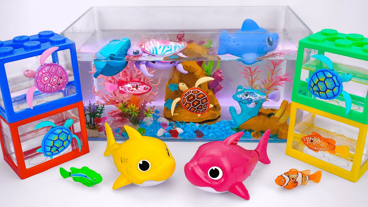 🦈toy asmr🦈 Ultimate ZURU Robo Alive Colorful Aquarium and Turtle Swimming ✨ Review Toys (No Talking)