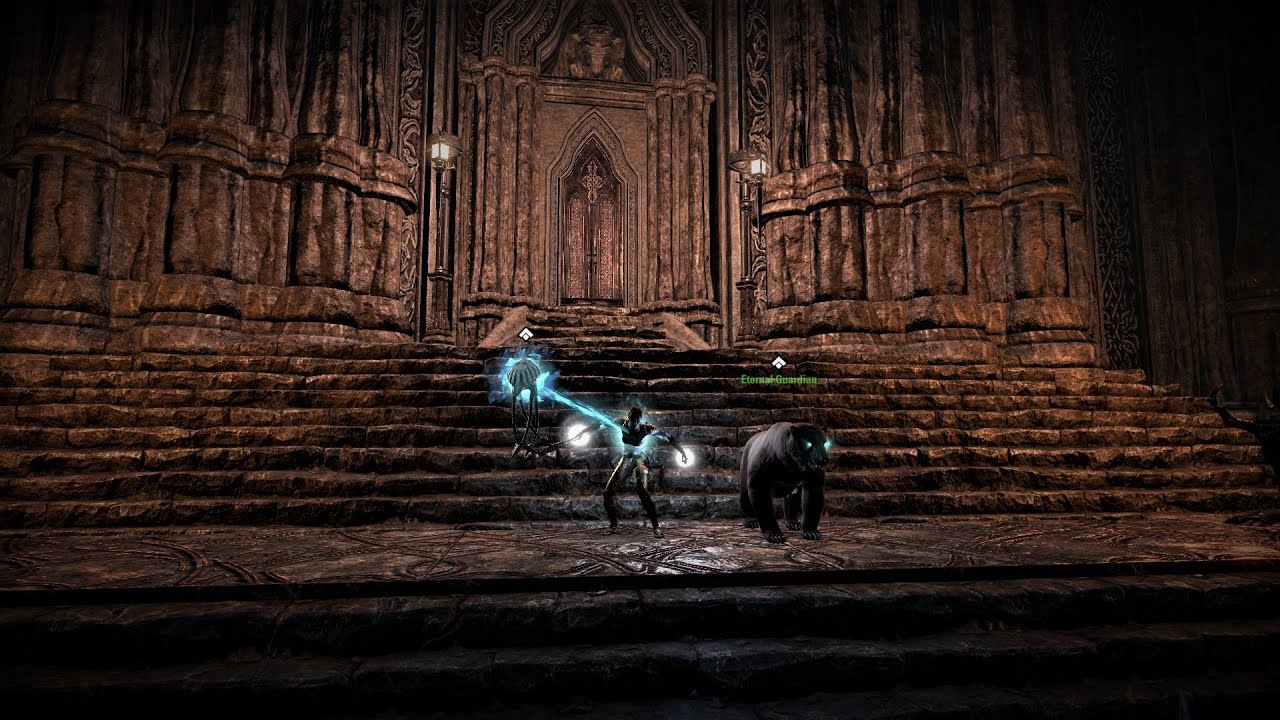 Magicka Warden DPS - 