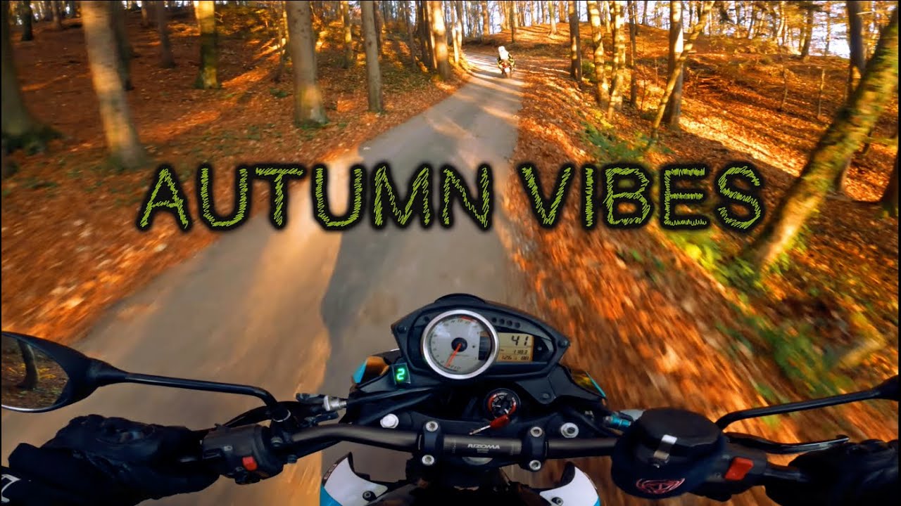 Z750 and CBR600 autumn cruising | shenanigans and RAW sound |