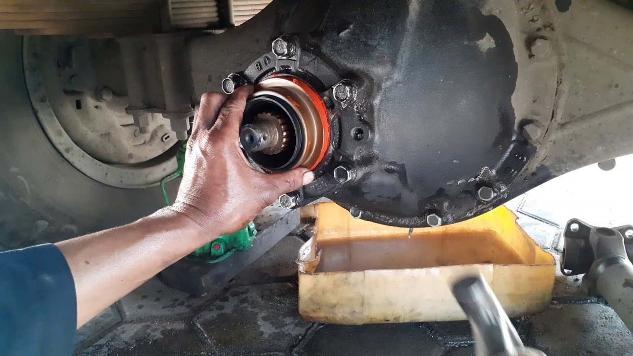 Cara mengganti seal gardan