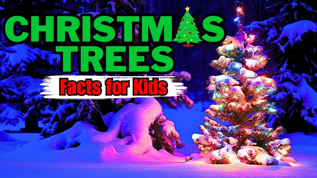 Why Do We Decorate Christmas Trees? (Facts for Kids)