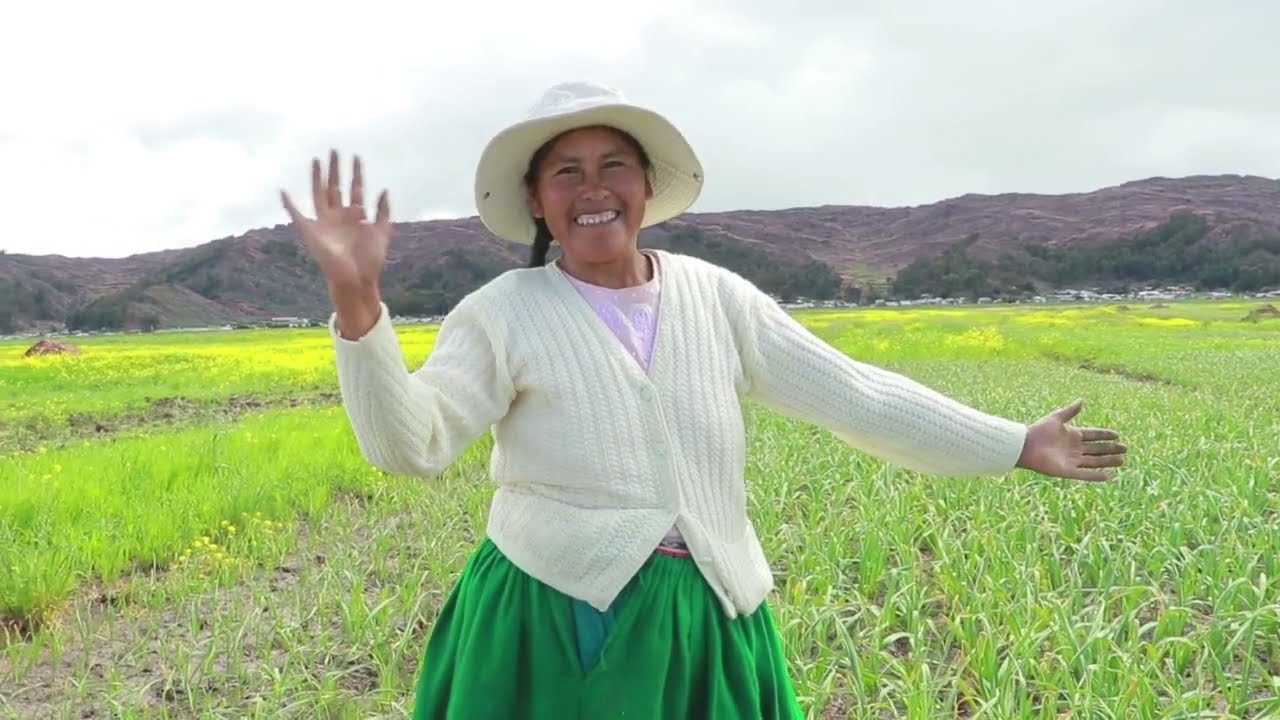 TESTIMONIOS DE EMPRENDIMIENTO Y DESARROLLO DE PRODUCTORES DEL MEJOR AJO DE LA REGIÓN PUNO-SANTA ROSA