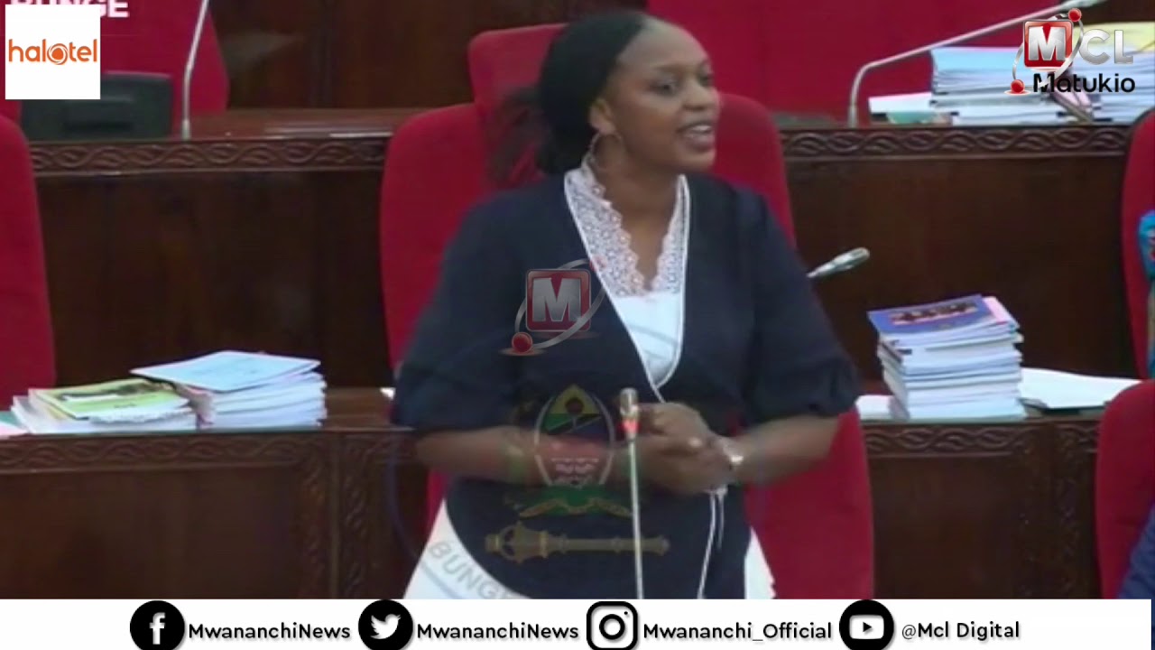 MBUNGE WA SEGEREA ALIVYOMLIPUWA WAZIRI WA UJENZI