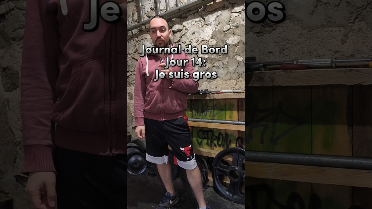 Journal de Bord Jour 14 : Je suis gros. #journaldebord #motivation #apprentissage #introspection