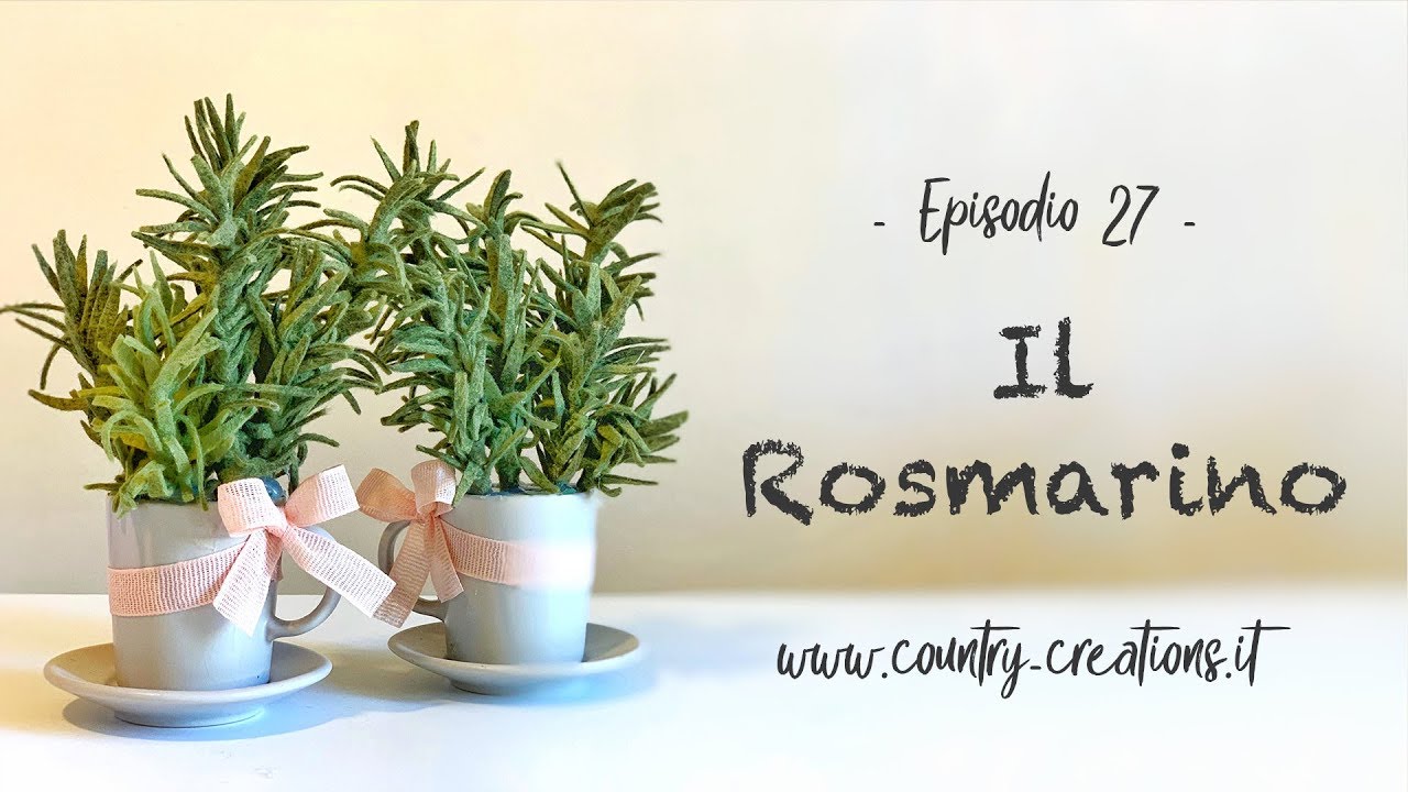 🌿 Il Rosmarino 🌿