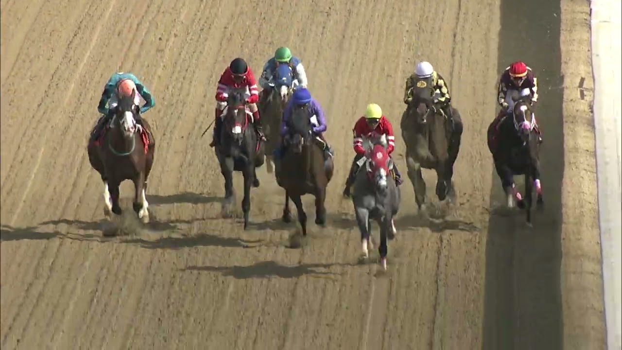RACE 4 2025-10-15