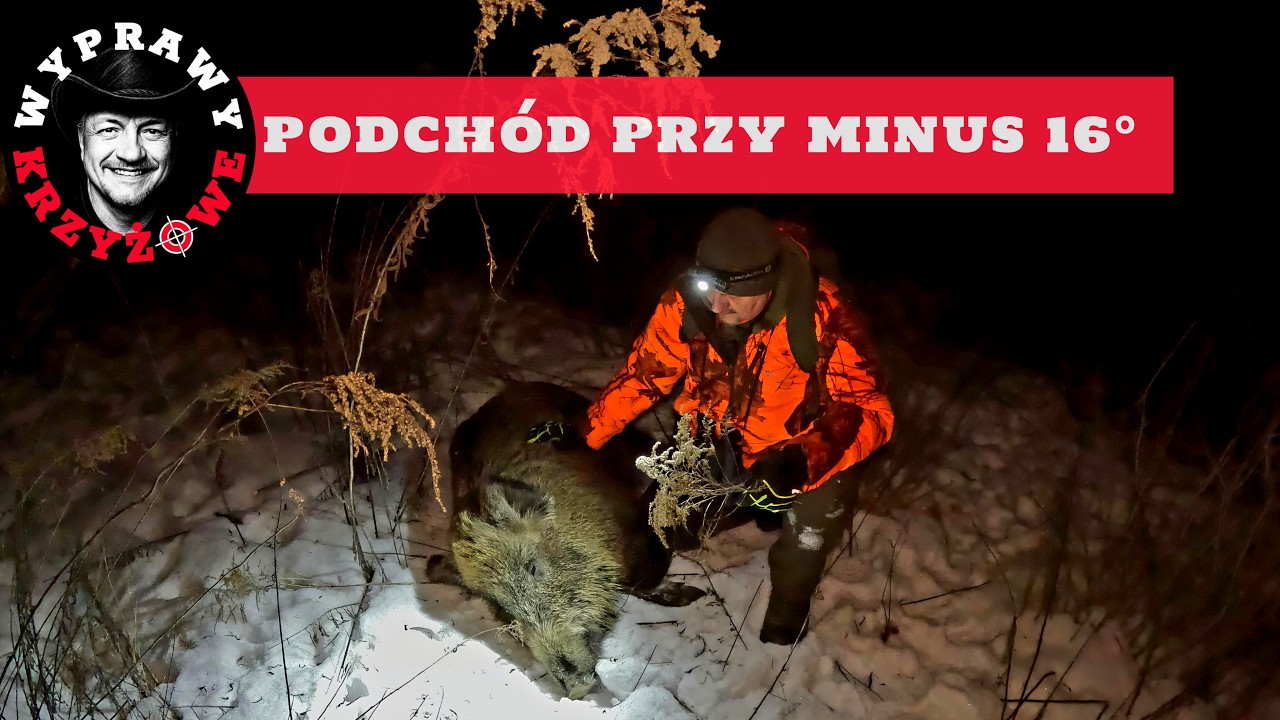 PODCH&Oacute;D watahy przy minus 16 #WyprawyKrzyżowe
