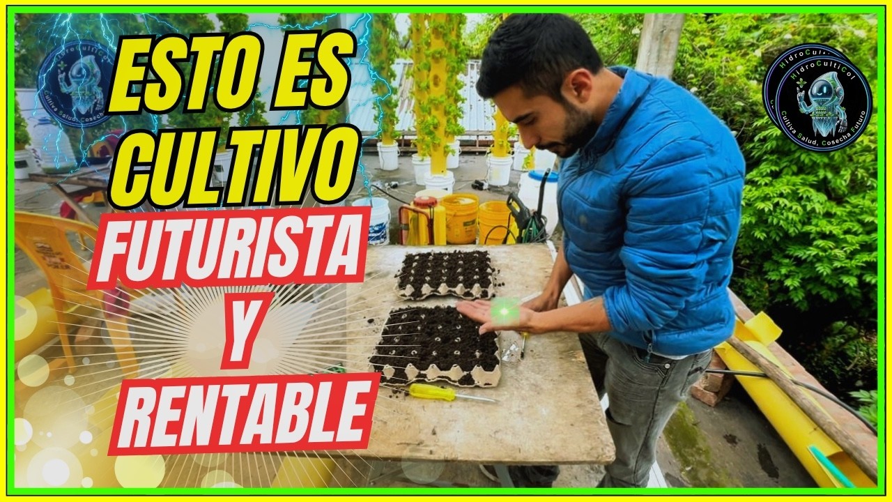 🌱Germinamos ají y mostramos el poder de la aeroponía al mundo -Un día en el aeropónico HidroCultiCol