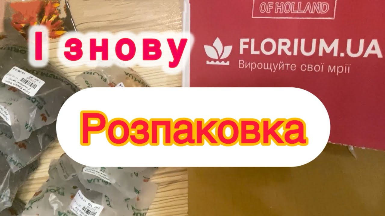 Друга посилка з флоріума. І знову подарунки ☺️