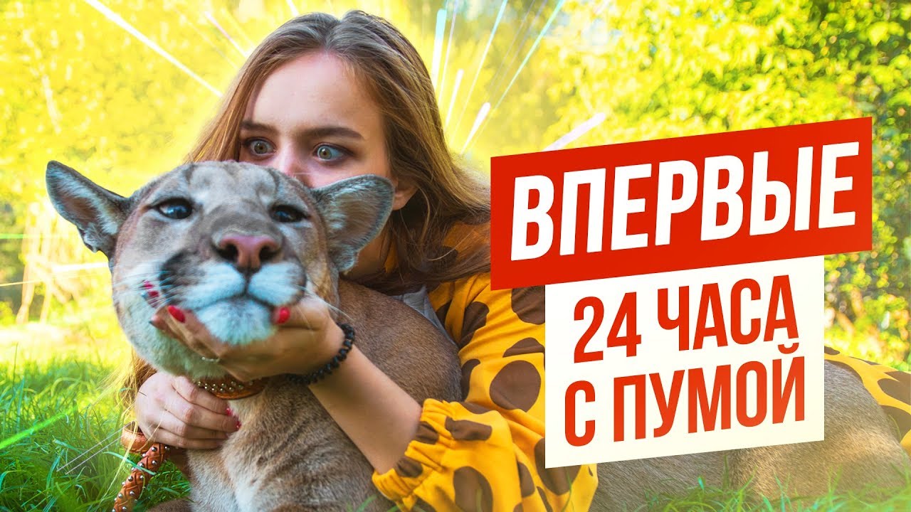 ВПЕРВЫЕ: 24 ЧАСА С ПУМОЙ / МЕНЯ ВЫГУЛИВАЕТ ПУМА