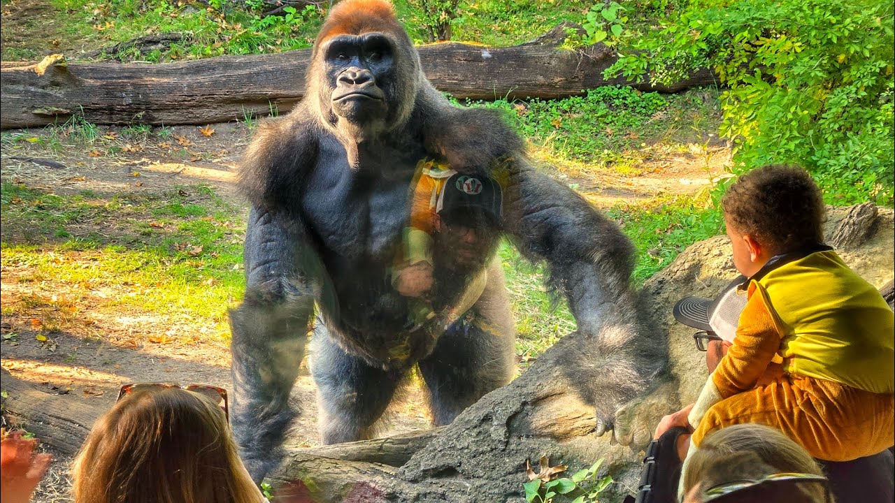 An October Day at The Bronx Zoo