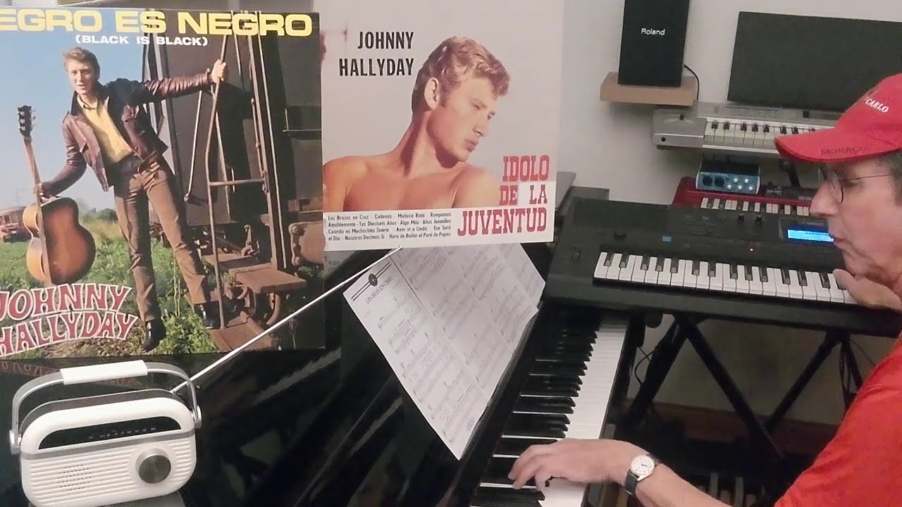 JOHNNY HALLYDAY/Les bras en croix