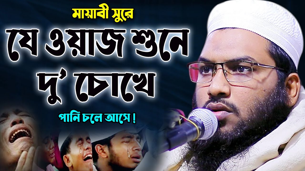 আহ ! আল্লাহর ওয়াজ কতইনা সুন্দর দু’চোখ বেয়ে পানি আসে | ইসমাঈল বুখারী কাশিয়ানী | Ismail Bukhari Waz
