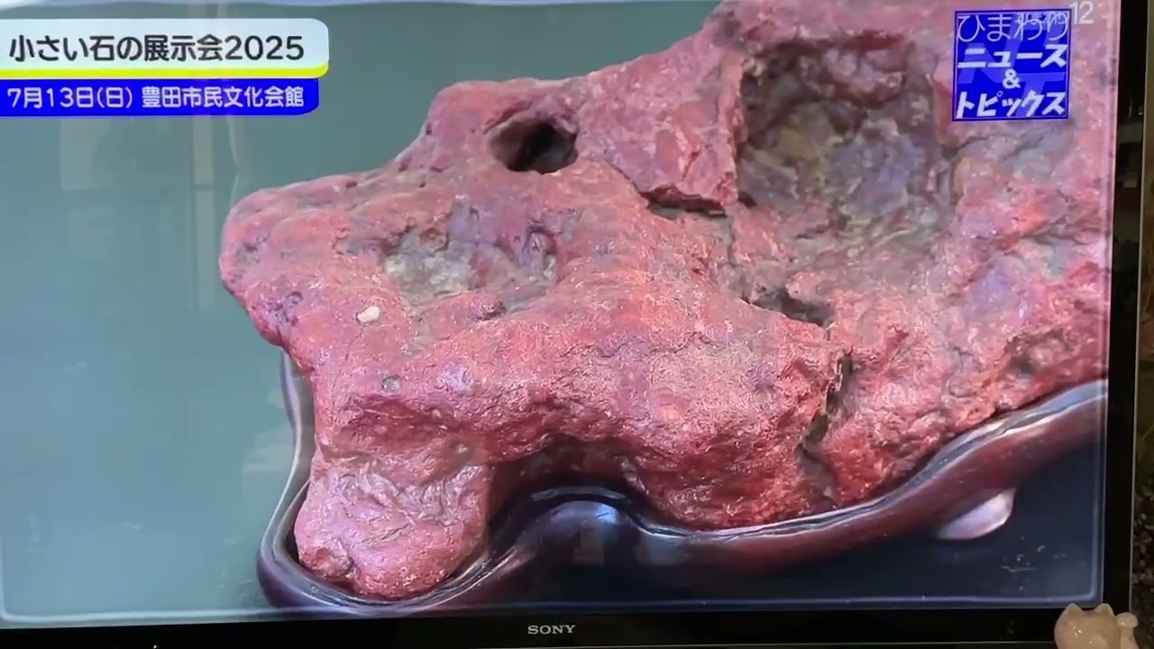 2024年　第７回小さい石の展示会