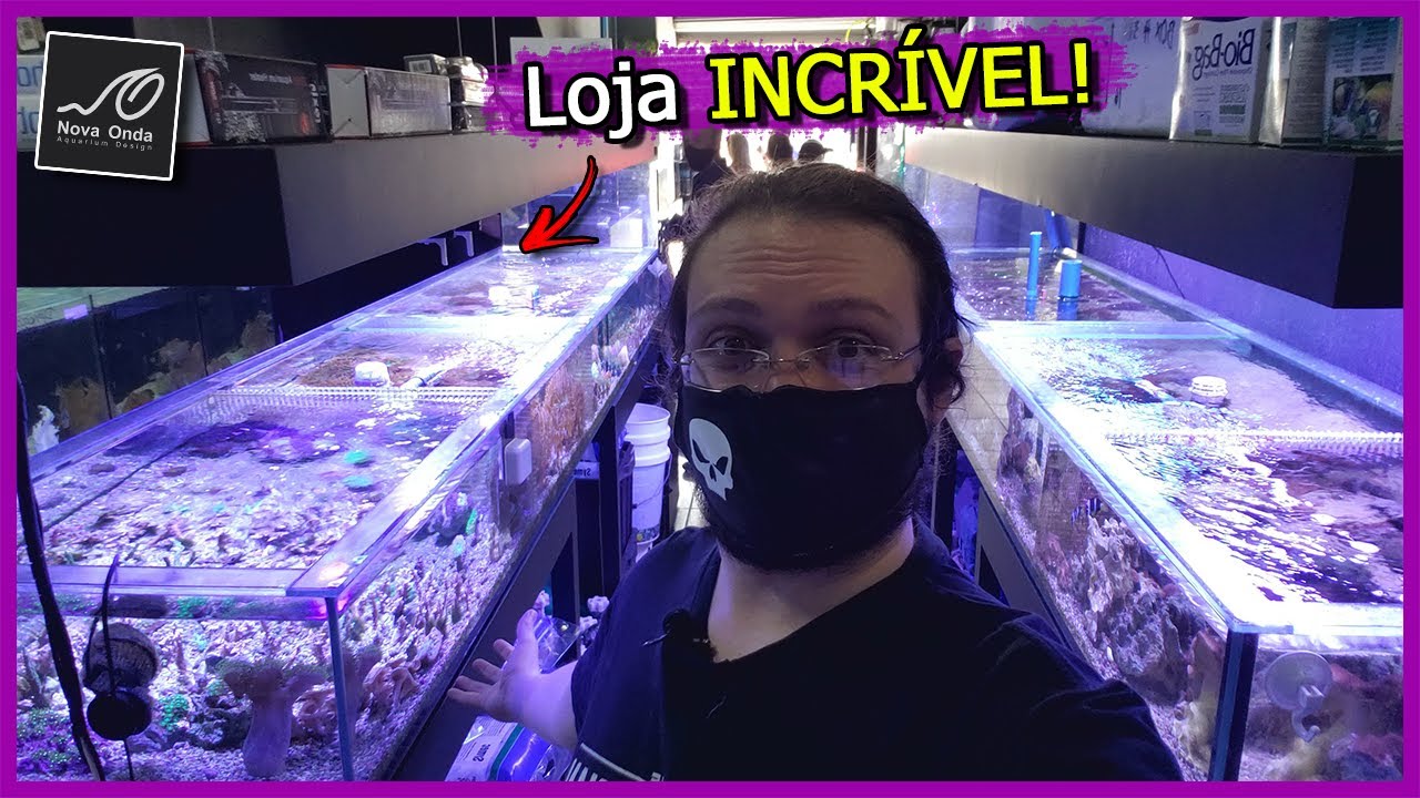 Visitei uma Loja de AQUARISMO! - Nova Onda Aquarium