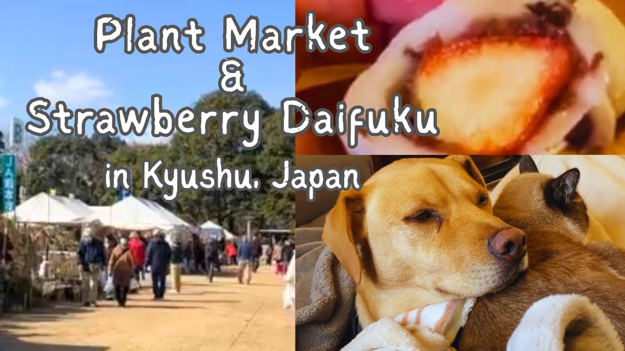 A Japanese Plant Fair | Garden Work | Strawberry Daifuku